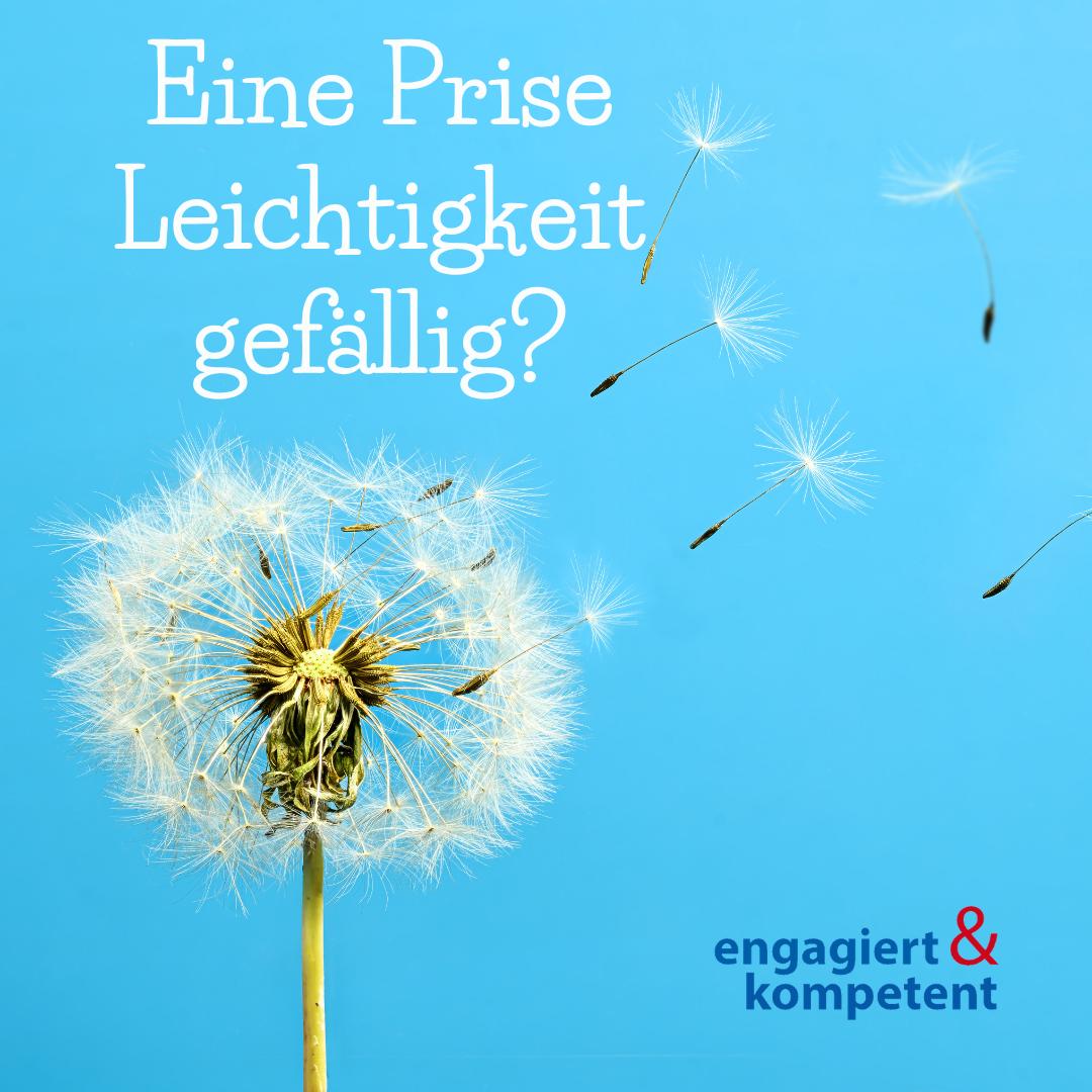 Foto Pusteblume 