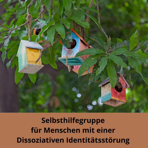 Logo Dissoziative Identätsstörung